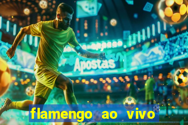 flamengo ao vivo multi tv